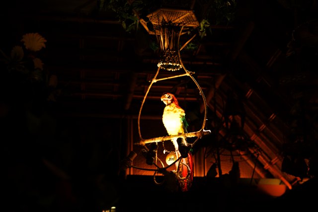 The Whimsical Parrot Chandelier