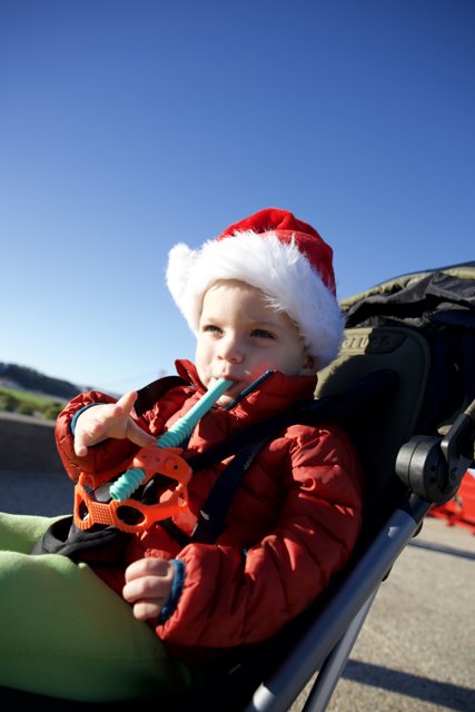 Santa's Littlest Helper: A Bay Area Christmas