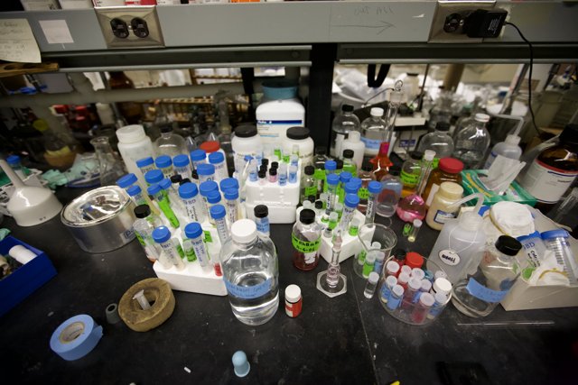Inside the Bustling UCLA Nanomachine Laboratory