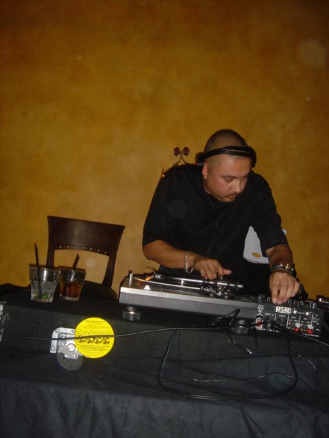 DJ Grooves at the Party