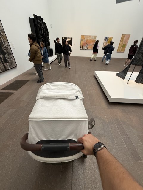 Artful Stroll Through de Young