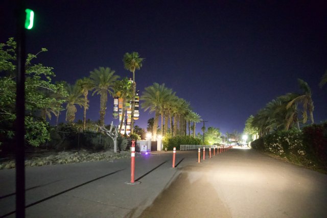 Midnight Oasis: Lights and Shadows at Coachella
