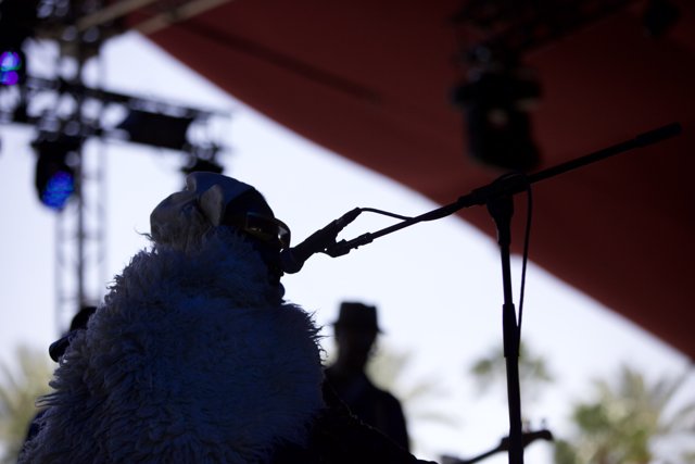 Fur-Covered Crooner in Concert