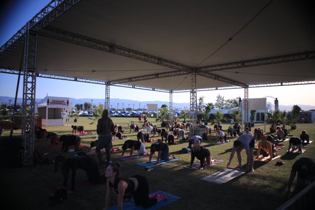 Yoga in the Fields at Coachella