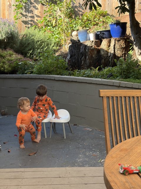 Morning Mischief in the Backyard