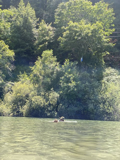 Doggie Paddle in the Russian River