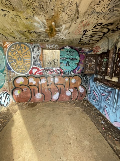Graffiti Oasis