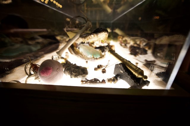 Illuminated Display of Ancient Artifacts and Natural Specimens