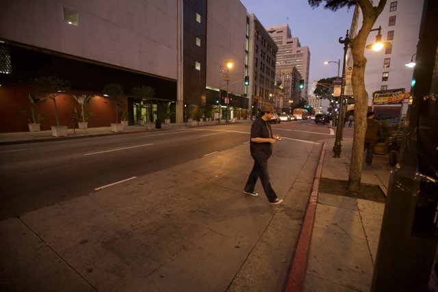 A Walk in Downtown LA