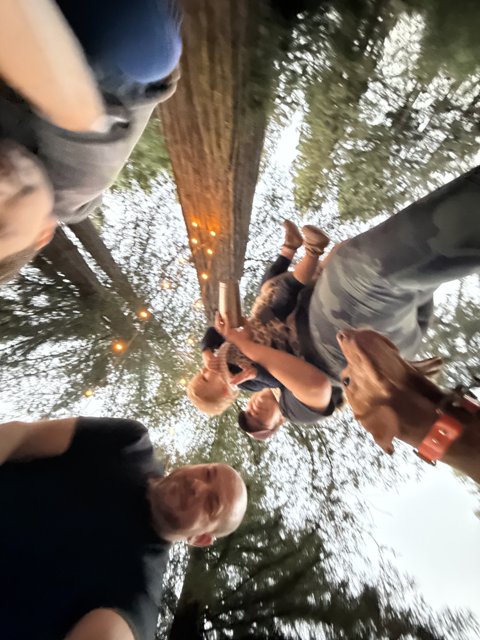Woodland Gathering in Guerneville