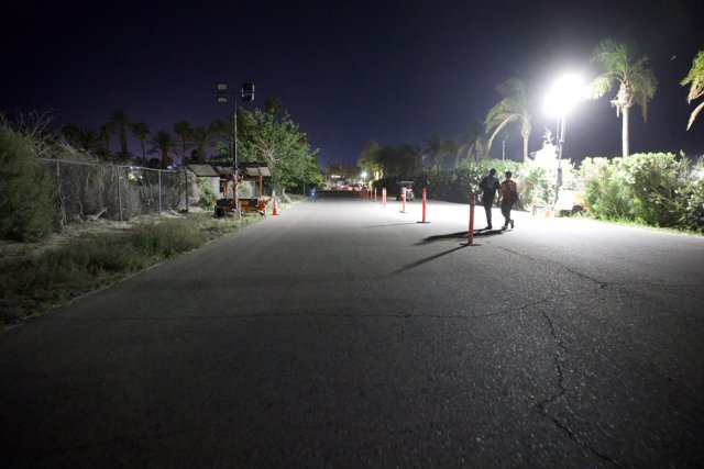 Night Walk Amongst Palms at Coachella 2024