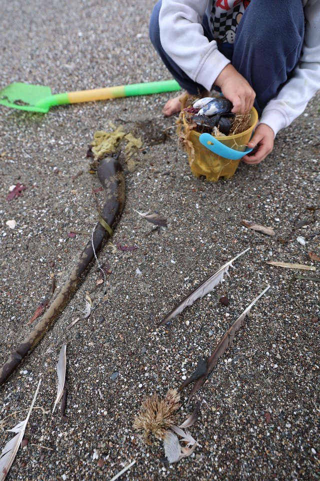 Child Collecting Beach Treasures in Yellow Bucket