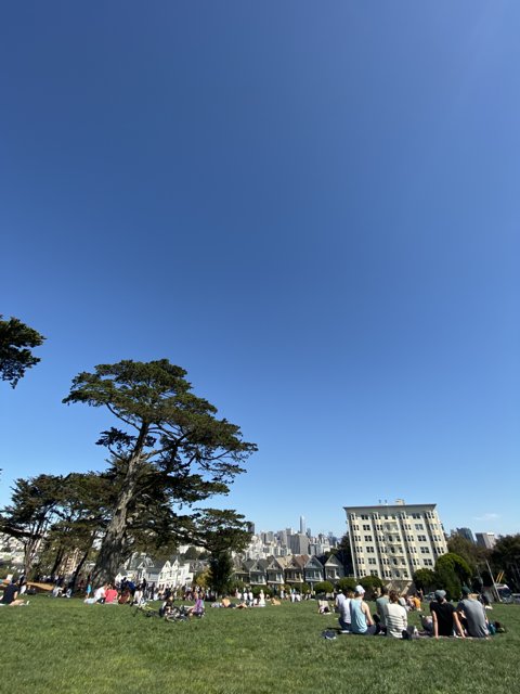 A Relaxing Afternoon in Alamo Square Park