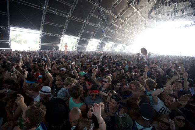 The Electric Crowd at Coachella