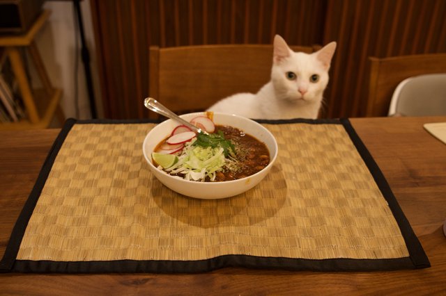 White Cat Eyeing a Bowl of Pozole Rojo