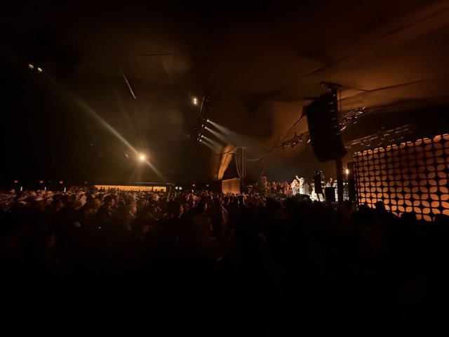 Electric Vibes Under the Desert Sky