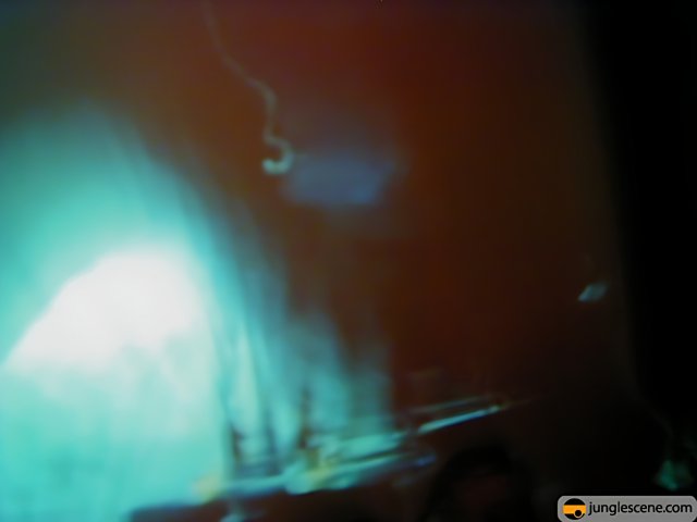 The Blur of a Nightclub Concert