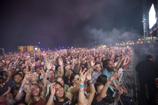 Raise your Hands for Coachella!