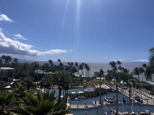 A Serene Summer View from the Westin Maui Resort Pool