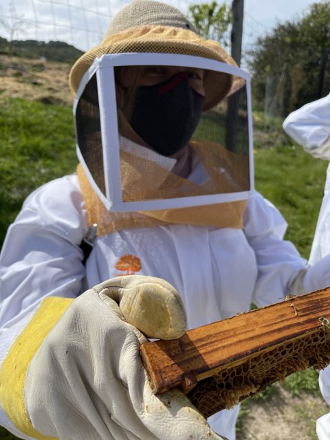 The Beekeeper Bride