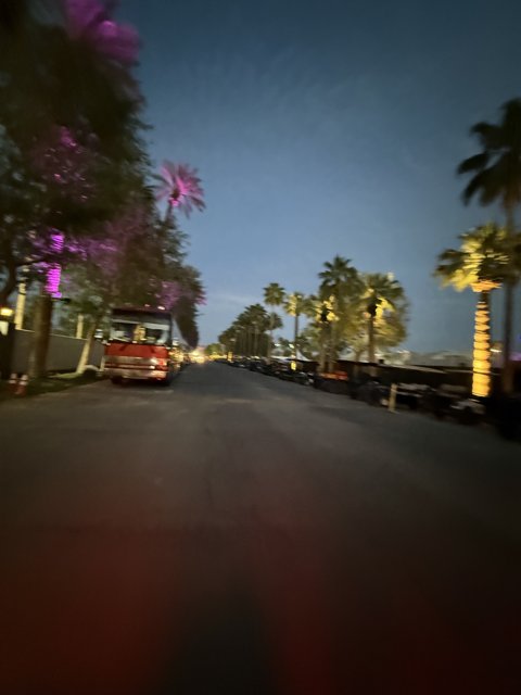 Twilight Palm Avenue
