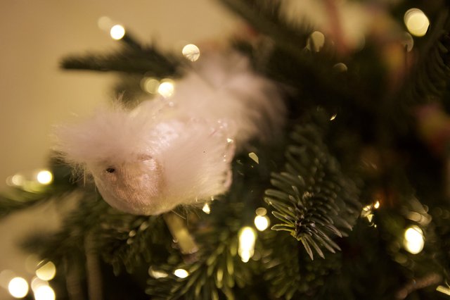 Fluffy White Bird Ornament on Illuminated Christmas Tree