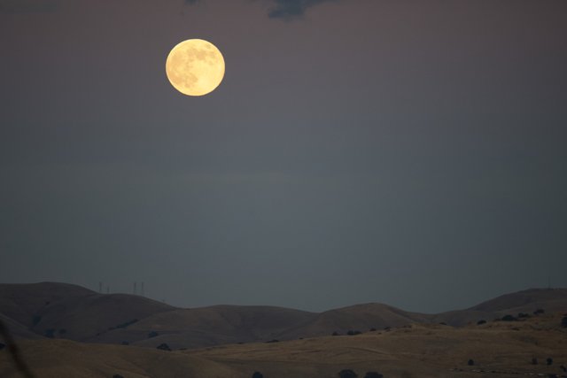 Walnut Creek's Celestial Embrace