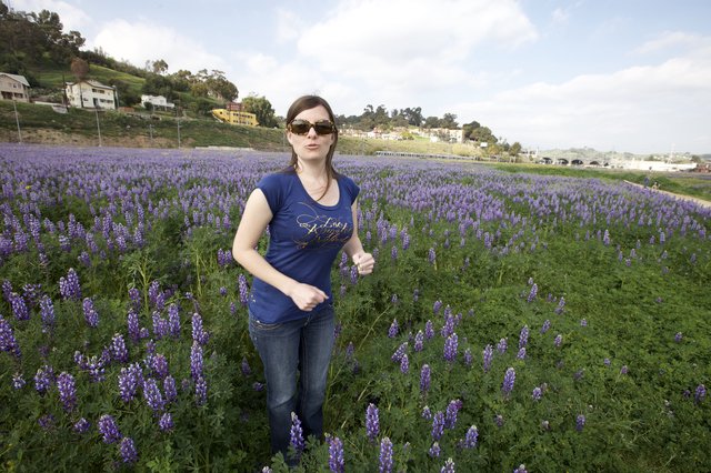 Woman Standing in Vast Purple Lupine Flower Field
