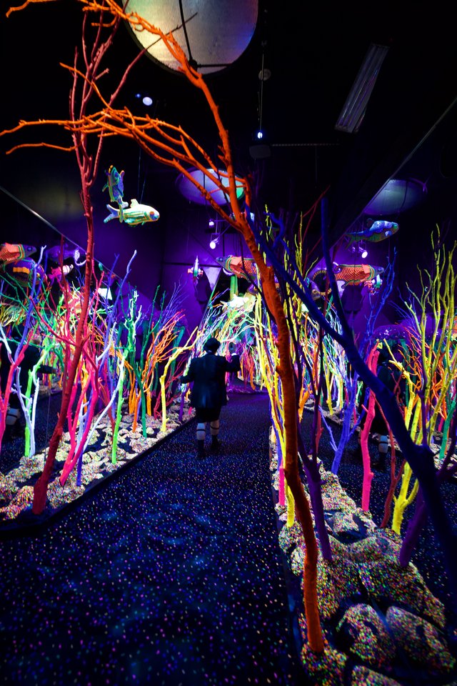 Neon Underwater Forest Installation in Immersive Art Gallery