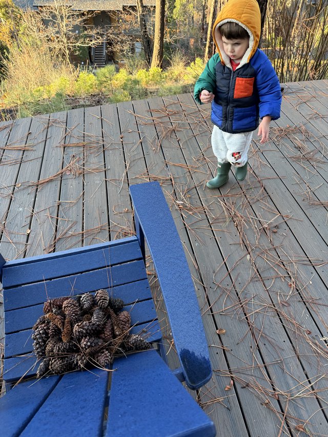 Toddler Explores Pine Cone Collection on Winter Deck