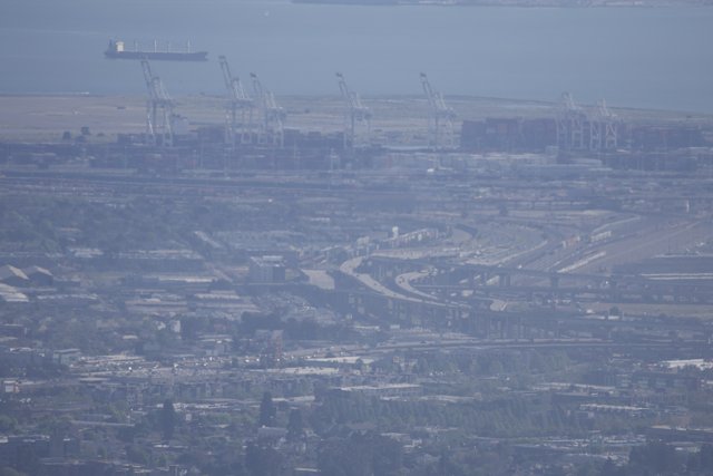 Urban Complexity: A Cranes, Fog & Constructionscape