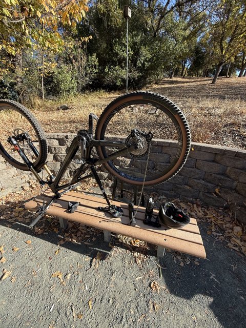 Autumn Bicycle Maintenance