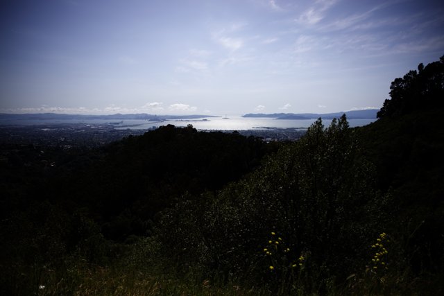 Serene Berkeley Bay View