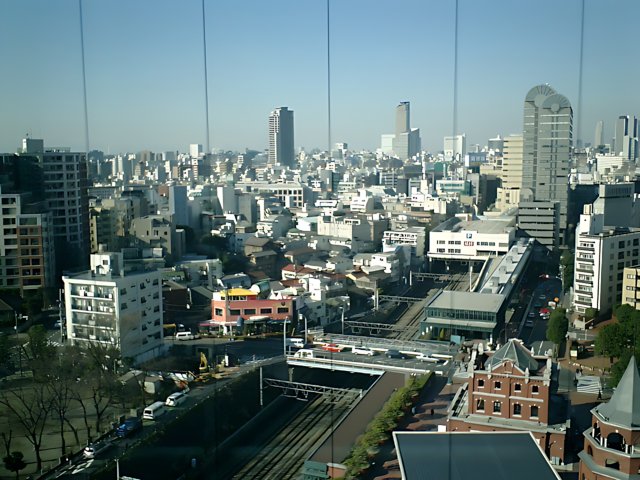 Overlooking Tokyo's Metropolis