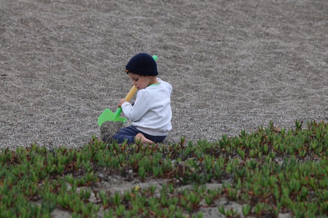 Young Child Playing in Sand at Foggy Beach