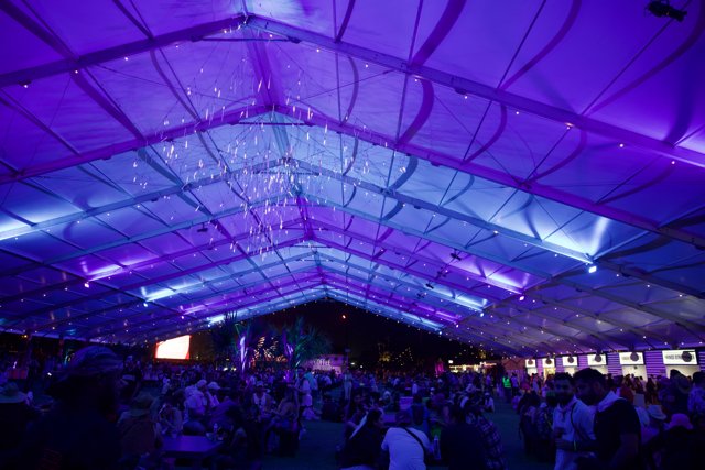 Vibrant Nights Under Purple Skies: Coachella 2024 Week 2