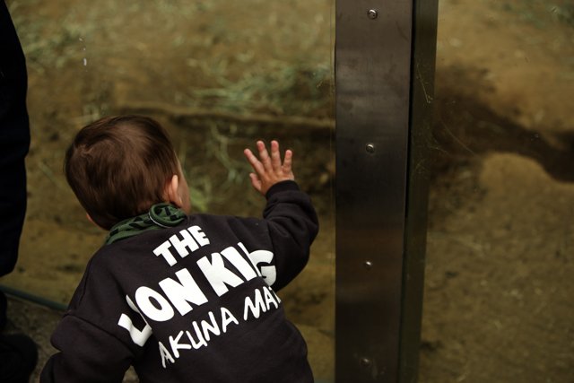 A Touch of Curiosity at the SF Zoo 2023