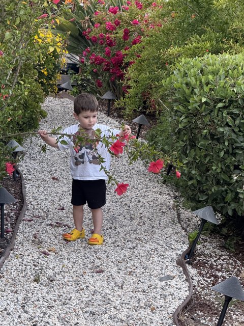 Garden Discoveries