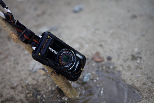 A Camera in the Muddy Wilderness