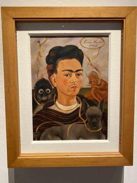 Frida Kahlo Gazes at Her Reflection in Self-Portrait