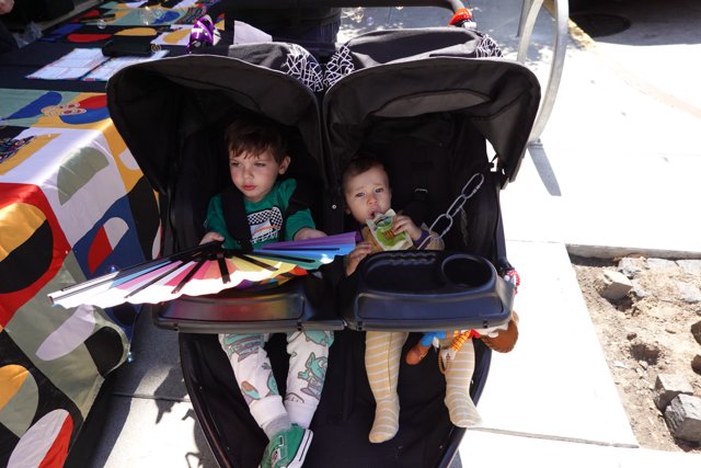 Stroller Adventures