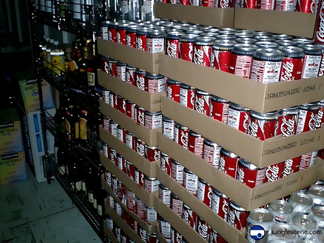 Coca Cola Cans Waiting to be Shipped
