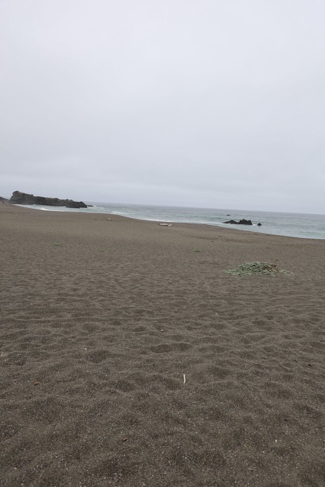 Foggy Northern California Coastline on a Gray Day