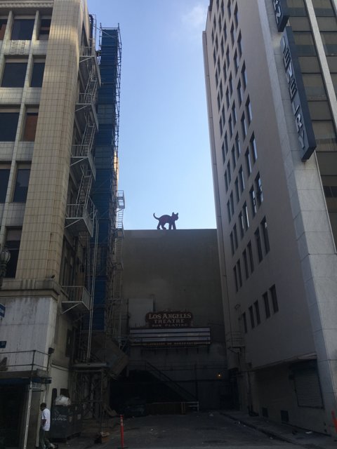 Canine Guardian of the City Skyline