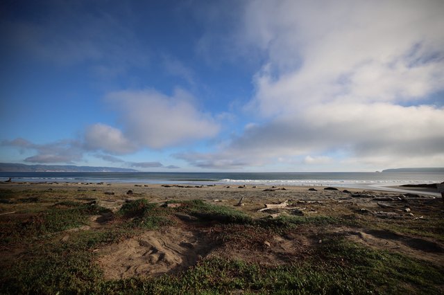 Coastal Serenity at Drakes Beach Elephant Seal Habitat