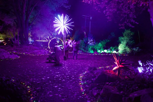 Enchanted Evenings in Purple