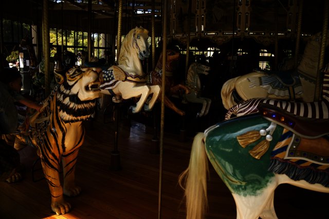 Unforgettable Day at Golden Gate Park Carousel, 2023