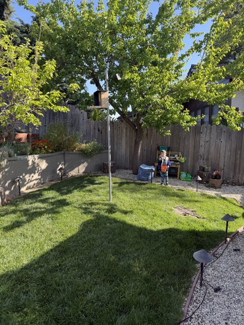 Springtime Adventures in the Backyard