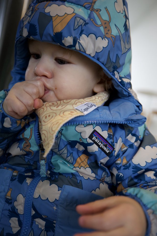 Toddler in Patagonia Jacket with Playful Dinosaur Print