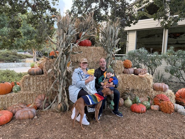 Autumn Harmony in Carmel